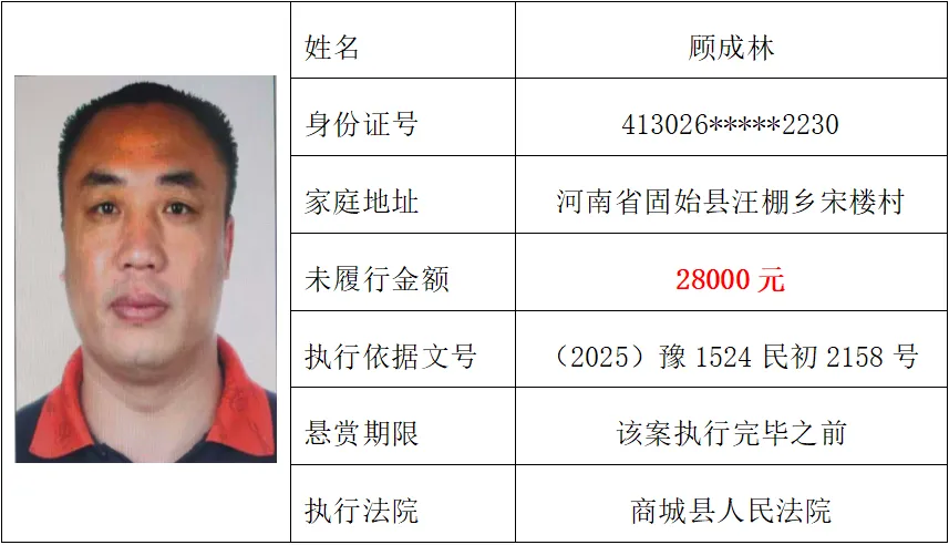 商城法院对顾成林的执行悬赏公告