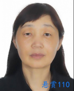 关于对杜红梅、张玉顺的悬赏通告