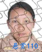 关于对茶仙会的悬赏通告